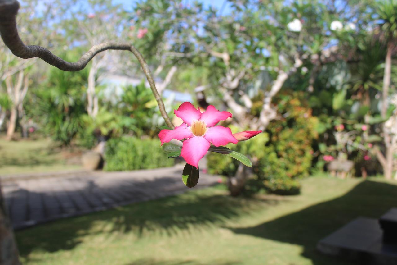 El Homestay Bali Nusa Dua  Eksteriør bilde