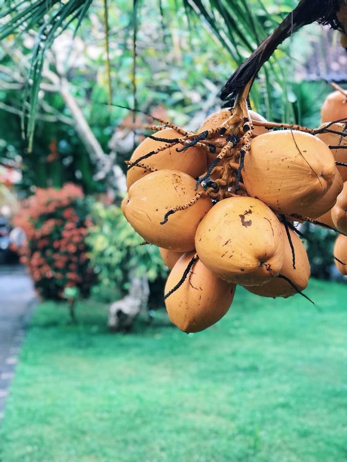 El Homestay Bali Nusa Dua  Eksteriør bilde