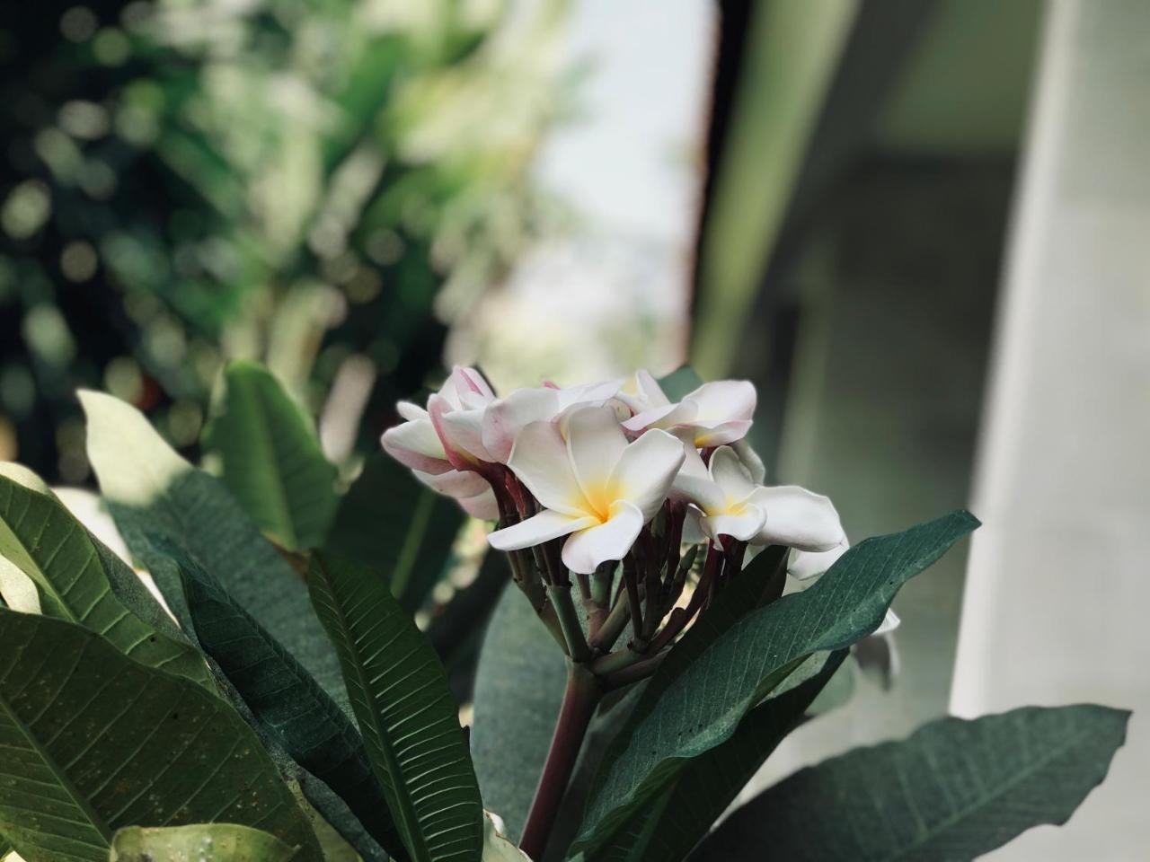 El Homestay Bali Nusa Dua  Eksteriør bilde